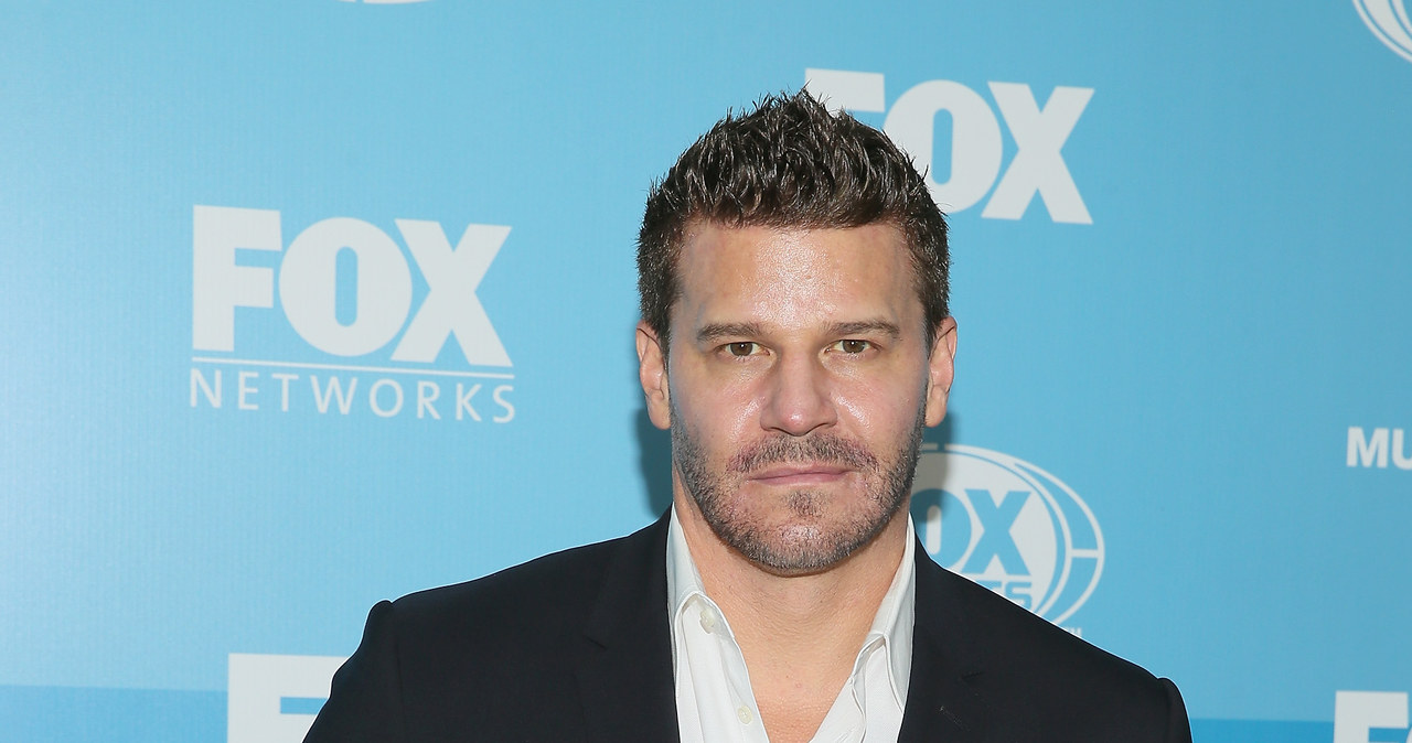 David Boreanaz /James Countees /Getty Images