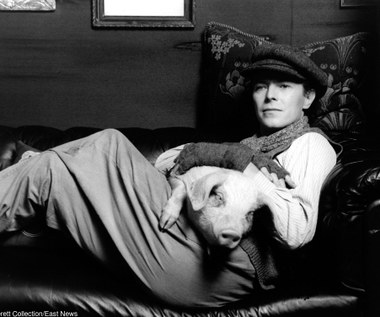 David Bowie: Zagadka nieśmiertelności