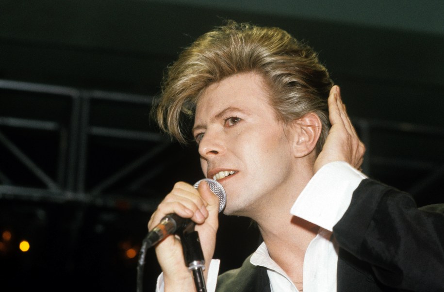 David Bowie /	Martina Hellmann /PAP/DPA