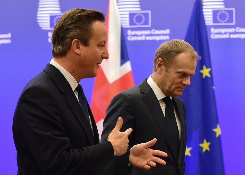 David Cameron i Donald Tusk /AFP