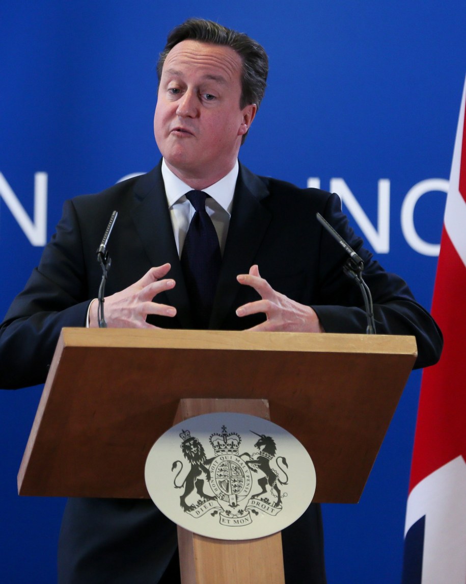 David Cameron /OLIVIER HOSLET /PAP/EPA