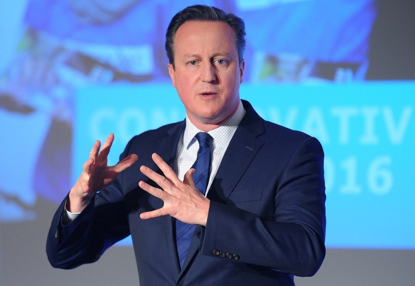 David Cameron /AFP