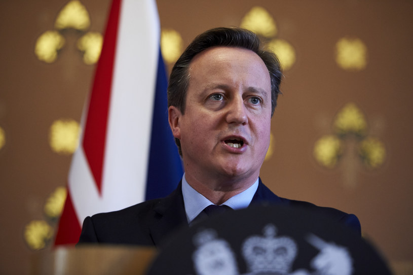 David Cameron /NIKLAS HALLE'N /AFP
