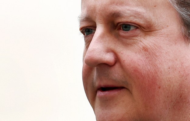 David Cameron /ANDY RAIN /PAP/EPA