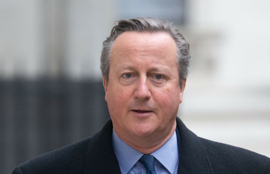 David Cameron /Tayfun Salci/ZUMA Press Wire/Shutterstock  /East News