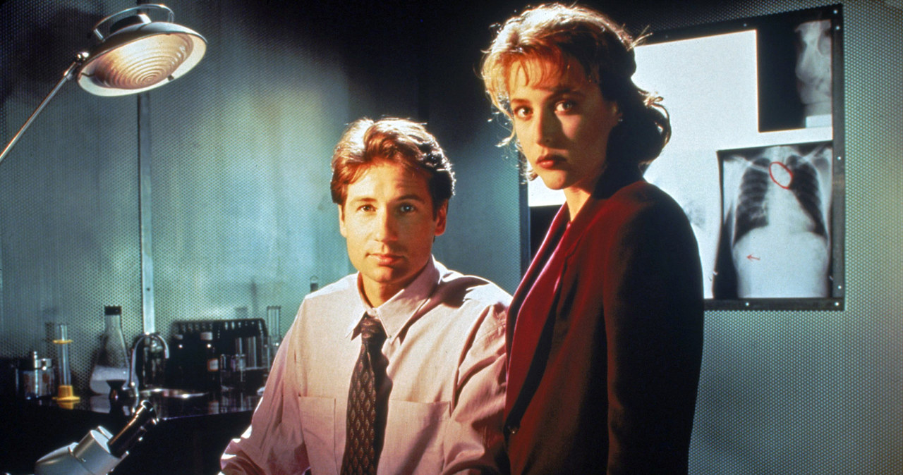 David Duchovny, Gillian Anderson /AKPA