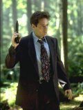 David Duchovny jako agent Mulder /