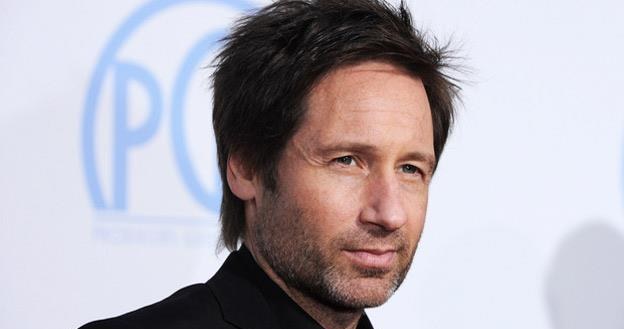 David Duchovny znalazł się pod ostrzałem krytyki /AFP