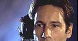 David Duchovny /