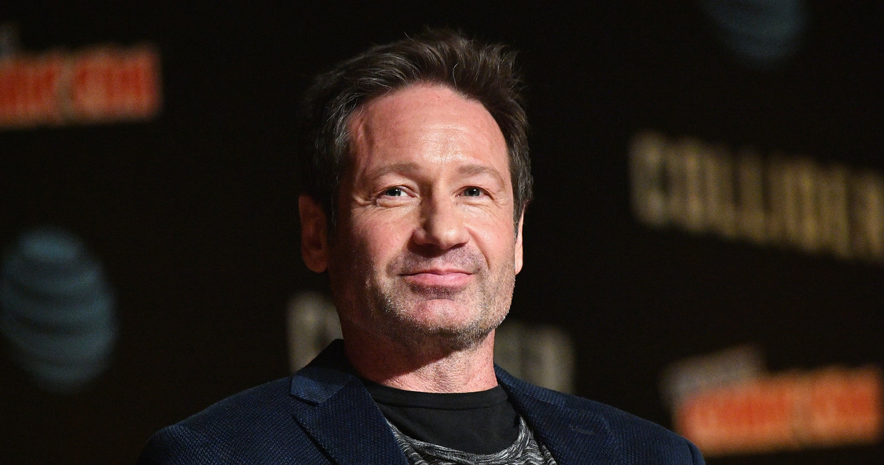 David Duchovny /Dia Dipasupil /Getty Images