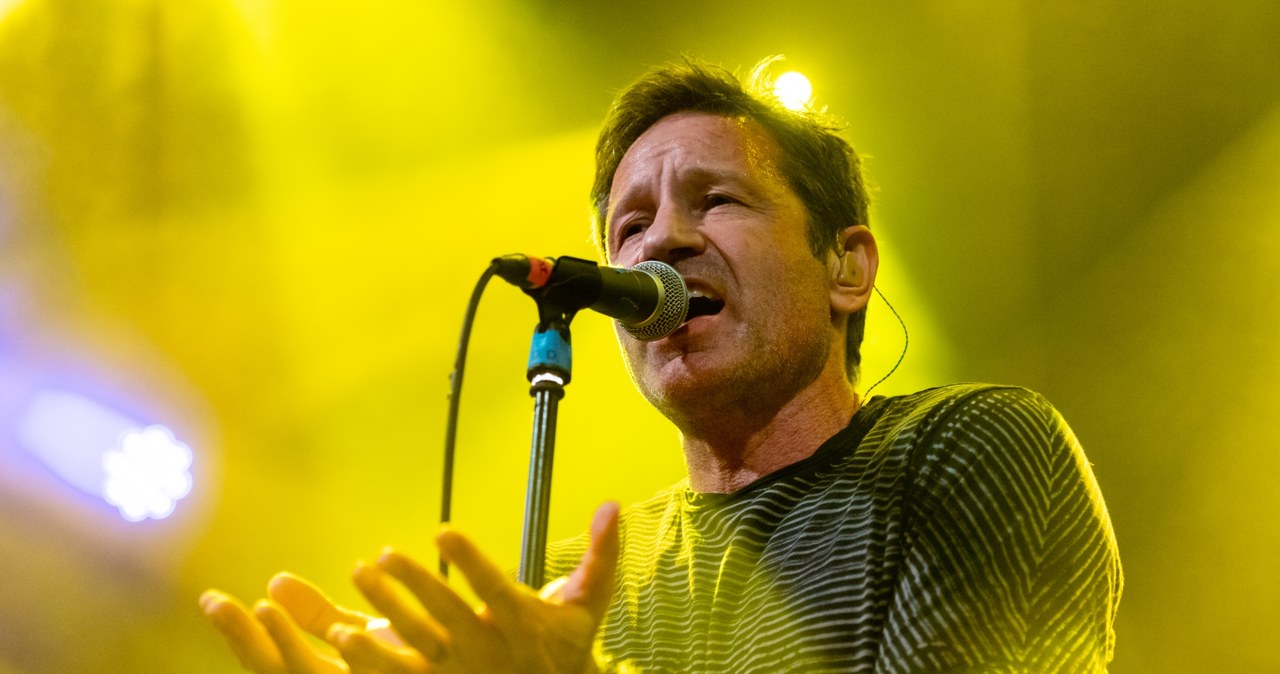 David Duchovny /SOPA Images / Contributor /Getty Images