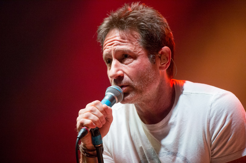 David Duchovny /Ollie Millington /Getty Images