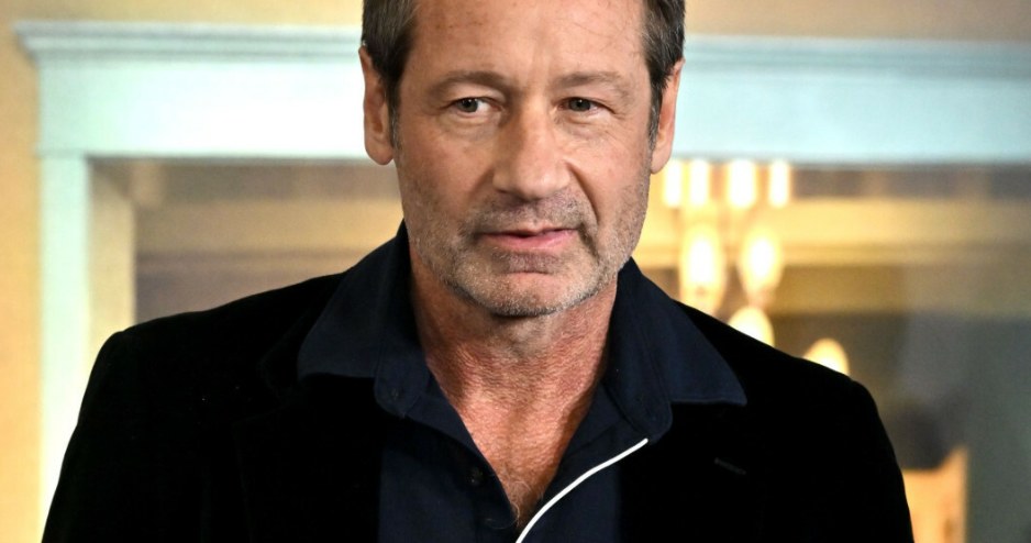 David Duchovny /Rex Features/EAST NEWS /East News