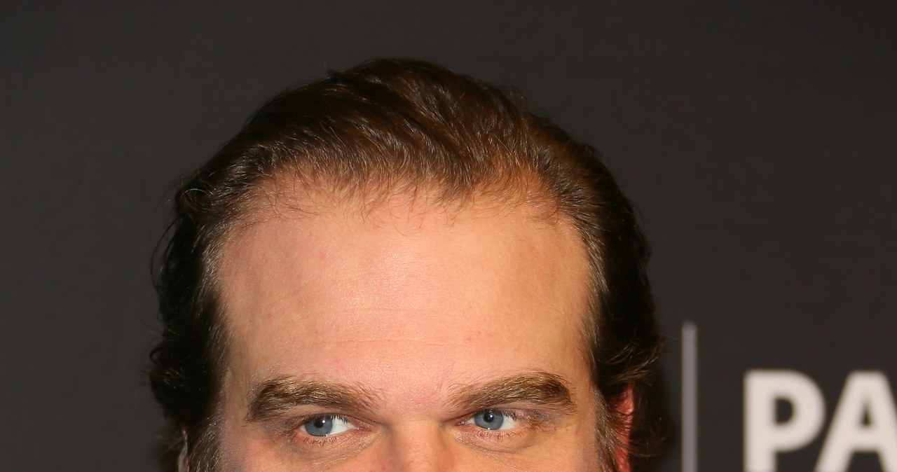 David Harbour podczas PaleyFest w Los Angeles /Jean Baptiste Lacroix/Stringer /Getty Images