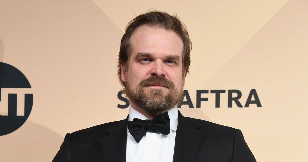 David Harbour - serialowy Jim Hopper /AFP