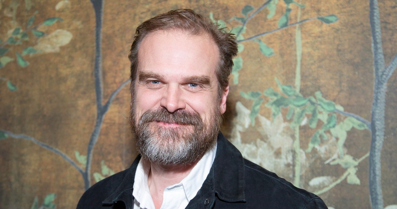 David Harbour /Santiago Felipe /Getty Images