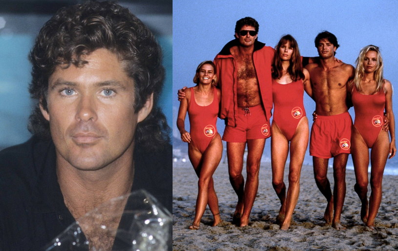 David Hasselhoff /imago stock&people /East News