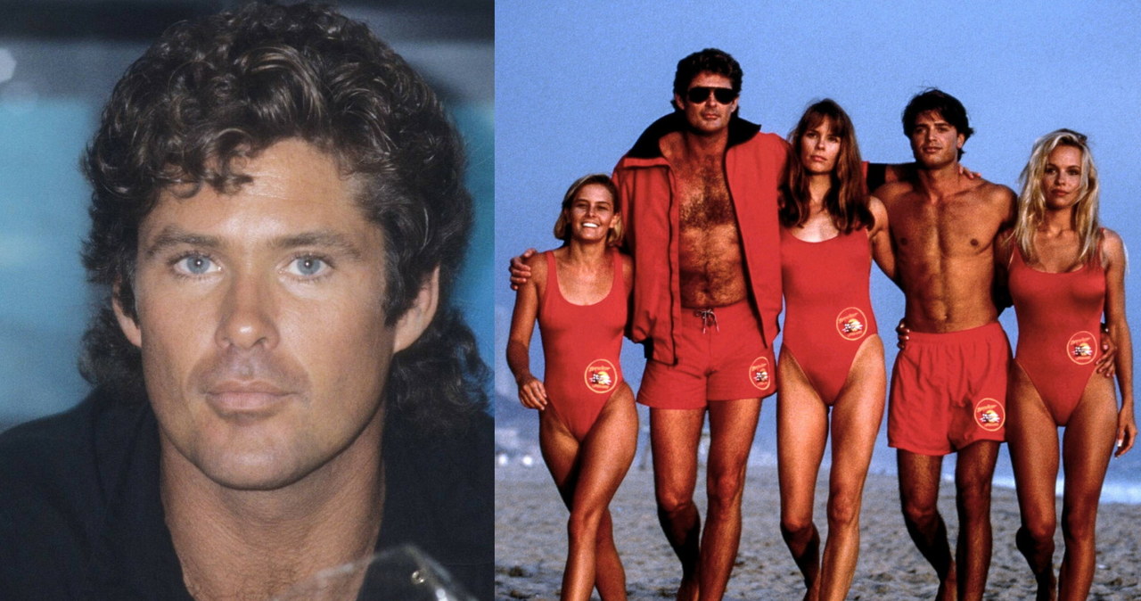 David Hasselhoff /imago stock&people /East News