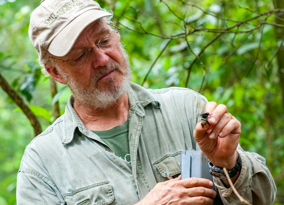 David Roubik z STRI w Panamie podczas badań pszczół /Jorge Aleman, STRI /Materiały prasowe