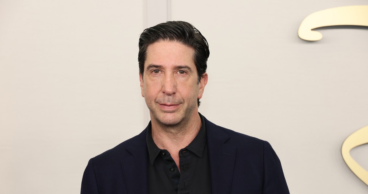 David Schwimmer na wydarzeniu Disney w Nowym Jorku / Dia Dipasupil/Getty Images /Getty Images