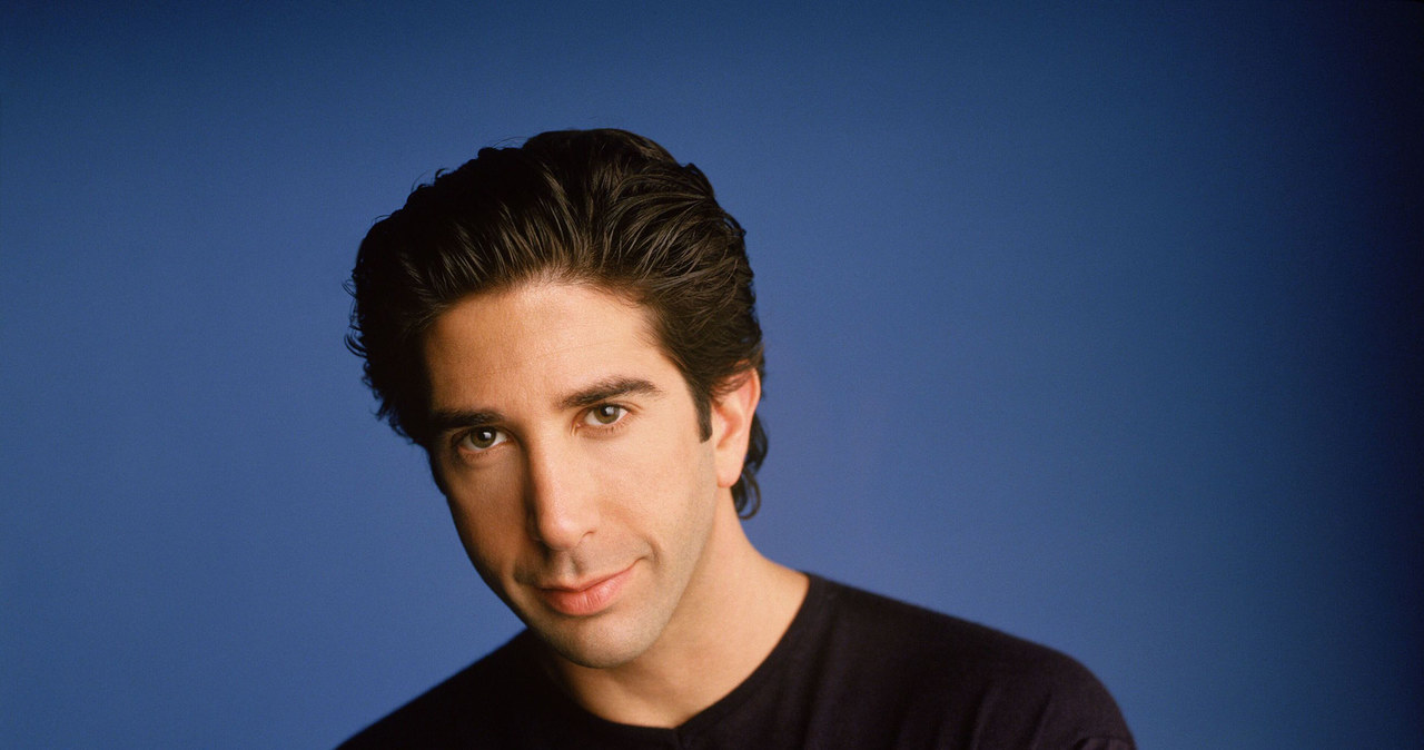 David Schwimmer /East News