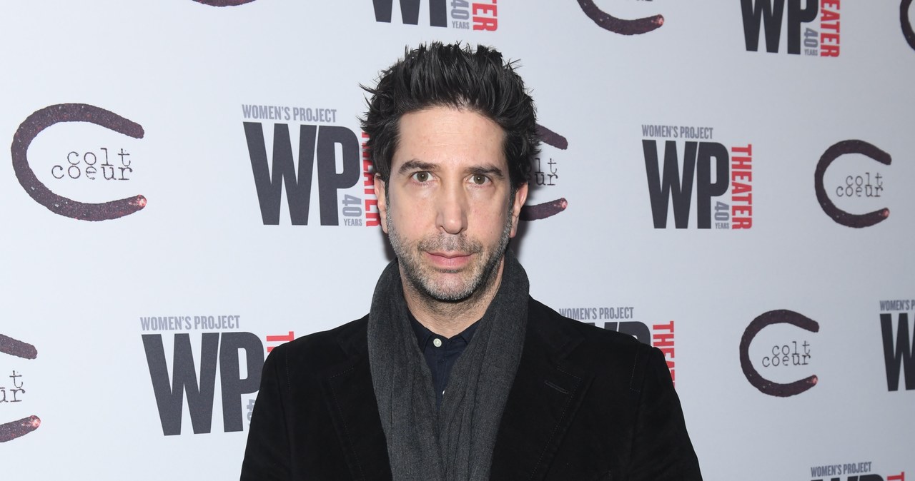 David Schwimmer /Noam Galai /Getty Images