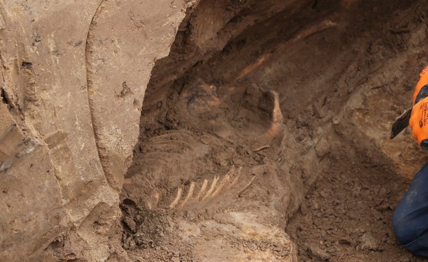 ​Dawny cmentarz na ulicy Królowej Jadwigi. Archeolodzy znaleźli ponad 30 pochówków