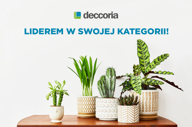 Deccoria.pl (Grupa Interia) nr 1 w kategorii „Wyposażenie wnętrz i ogród” /Interia.pl /INTERIA.PL