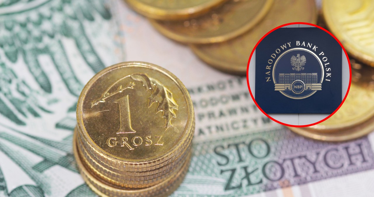 Decyzja RPP o obniżce stóp procentowych o 75 pkt. bazowych przeceniła złotego w stosunku do głównych walut. To może nie powstrzymać Rady przed dalszym poluzowywaniem polityki pieniężnej /123RF; Wojciech Stróżyk/Reporter /