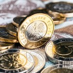 Decyzja RPP oraz raporty o inflacji w USA i Niemczech umocniły złotego