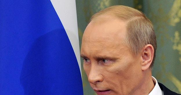 Deklaracje Putina umacniają złotego. Nasza waluta może dalej zyskiwać /AFP