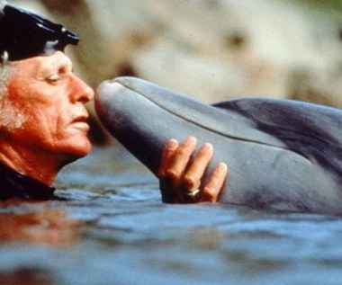 Delfiny jako ofiary popkultury