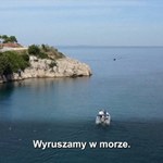 Delfiny u wybrzeży Chorwacji. Naukowcy nie mają wątpliwości: Dobrze im tam