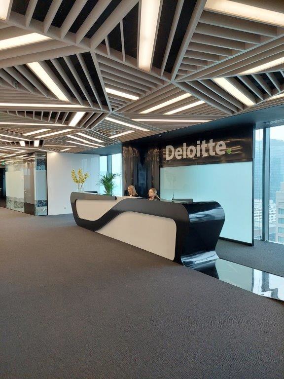 Deloitte (2) /materiały promocyjne