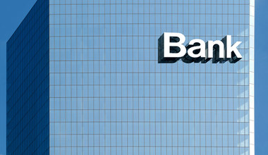 Deloitte: Straty banków będą mniejsze niż po poprzednim kryzysie