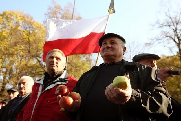 Demonstracja kilkuset sadowników przed Kancelarią Prezesa Rady Ministrów w Warszawie /PAP