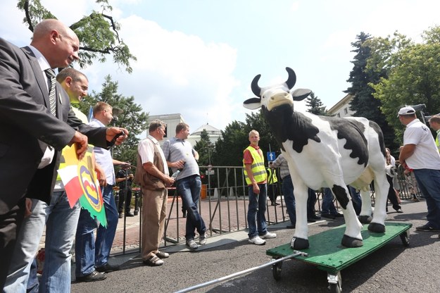 Demonstracja poparcia nowelizacji ustawy o ochronie zwierząt, która dopuszcza prowadzenie uboju rytualnego zwierząt. W najbliższy piątek posłowie mają głosować nad tą ustawą. /Tomasz Gzell /PAP