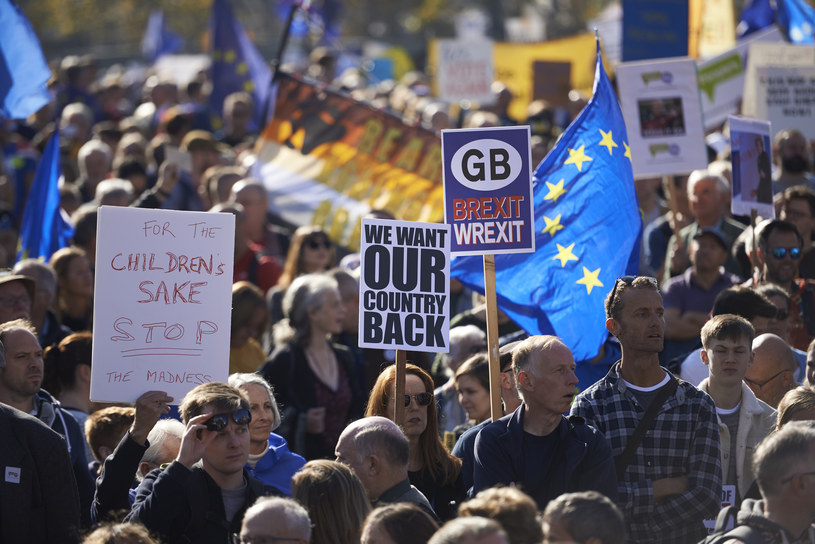 Demonstracja przeciwko brexitowi /NIKLAS HALLE'N /AFP