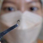 Denga i inne choroby już wkraczają do Europy. Powodem są zmiany klimatu