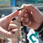 depenalizacja Depenalizacja marihuany jeszcze w tym roku? "Projekt jest już gotowy"