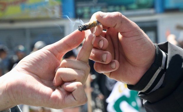 Depenalizacja marihuany jeszcze w tym roku? "Projekt jest już gotowy" 