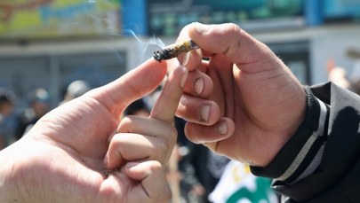 Depenalizacja marihuany jeszcze w tym roku? "Projekt jest już gotowy" 