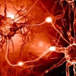 Depresja blokuje rozwój nowych neuronów. Przełomowe odkrycie w hipokampie