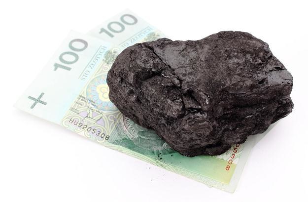 Depytaty węglowe to duże pieniądze /&copy;123RF/PICSEL