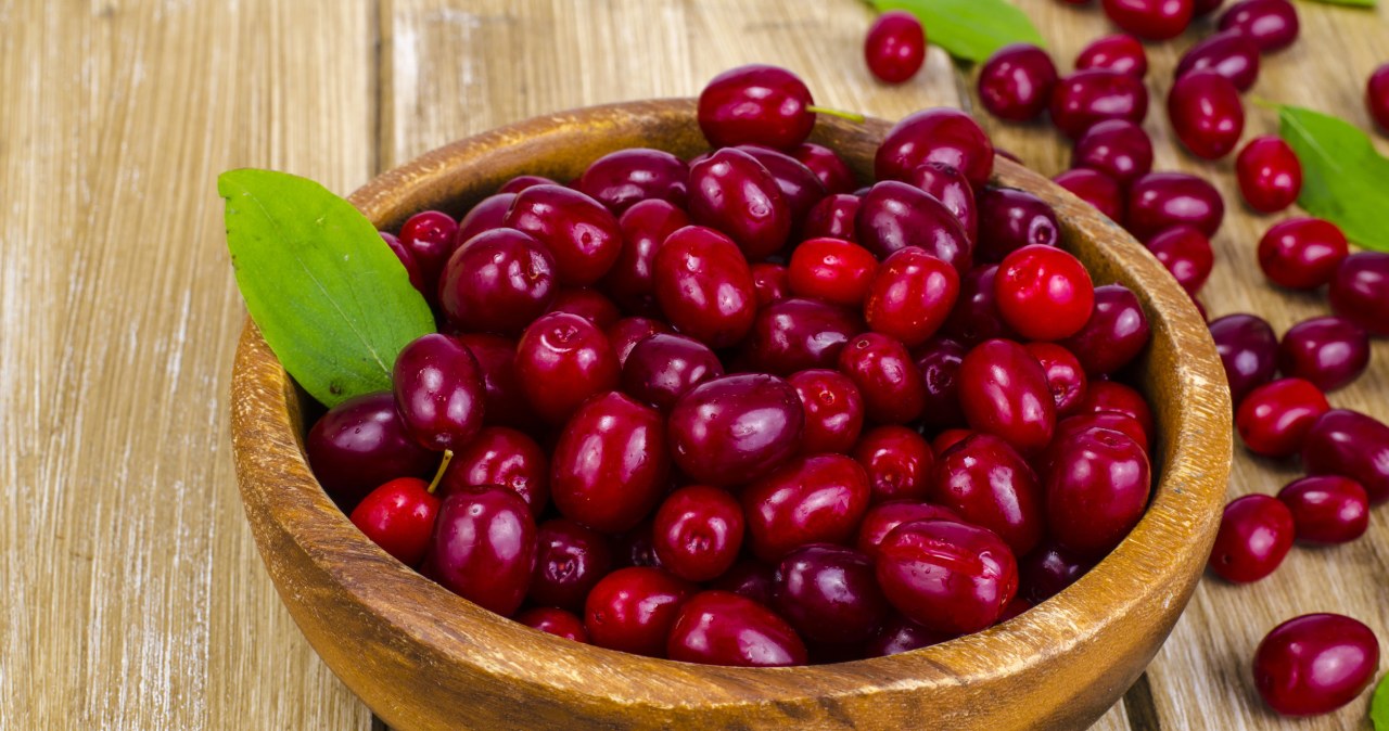 Dereń jest bogactwem witaminy C i flawonoidów /123RF/PICSEL