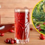 Dereniówka - szlachetny trunek na odporność, przeziębienie i problemy żołądkowe