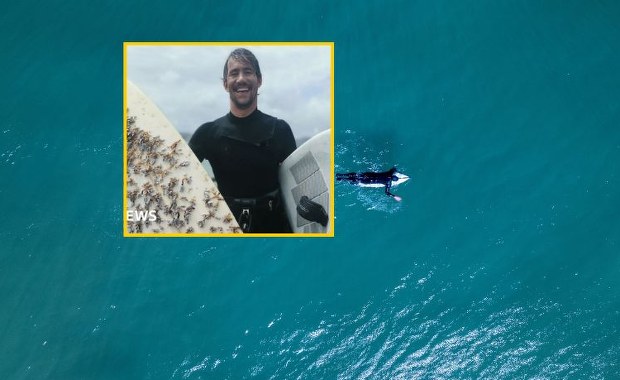 Deska surfingowa dryfowała ponad 2 tys. kilometrów.  "Odnalazła" właściciela