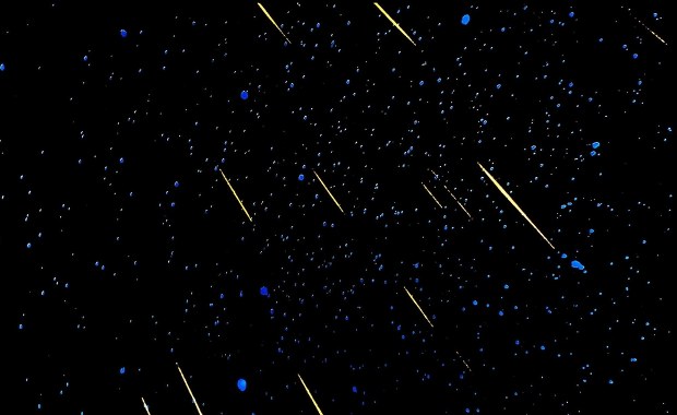 Deszcz meteorytów nad Polską. Kiedy i jak obserwować ten nocny spektakl na niebie? 
