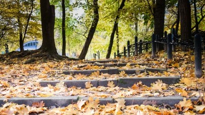 Deszcz, wiatr i zachmurzenie. Prognoza pogody na nowy tydzień