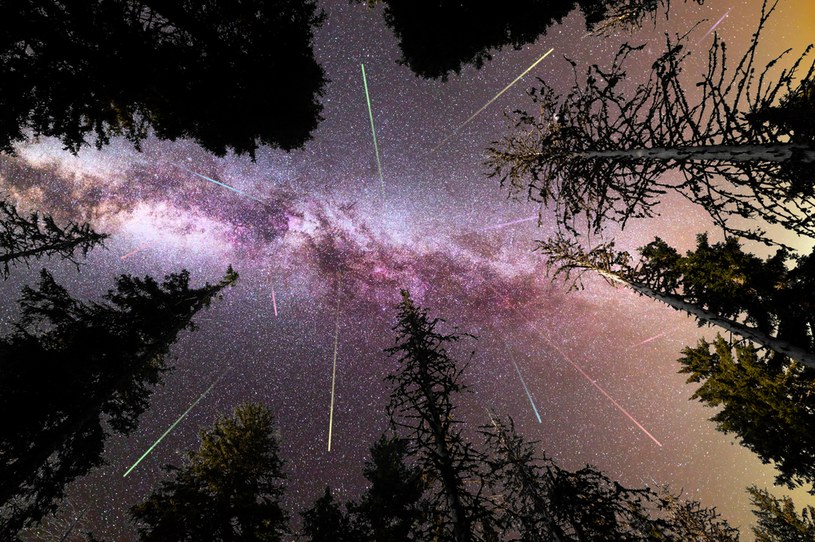 Deszcze meteorów w listopadzie. Kiedy oglądać roje spadających gwiazd? /123RF/PICSEL
